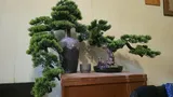 Lawanda N. review photo