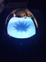 Nik review photo