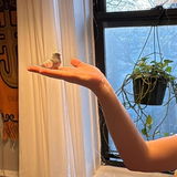 Michael Doan review photo