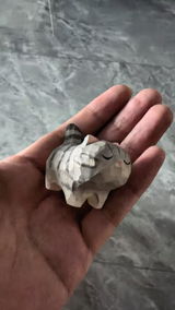 S.O. review photo