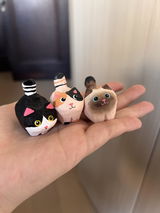 A.G. review photo