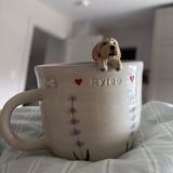 Kaylee Q. review photo