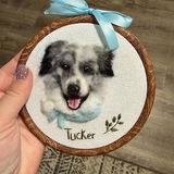 Lucy Y. review photo