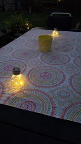 Stephanie Williams review photo