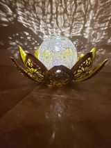 Belle review photo