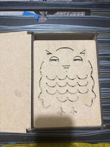 Nagashri Mk review photo
