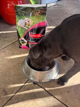 JoP3 review photo