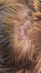 Bob54 review photo
