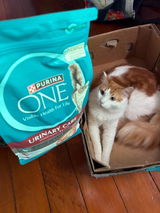 MadeleineG review photo
