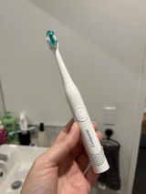Seajay9 review photo