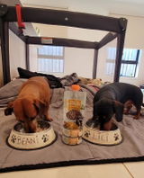 beani.franki.lili_bull review photo