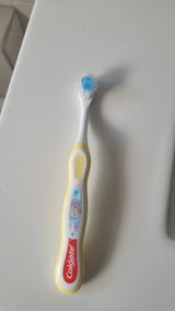 Dandan1 review photo