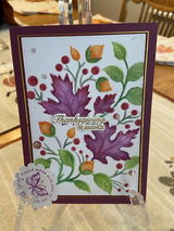 Judi Birt review photo