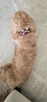 Lilia review photo