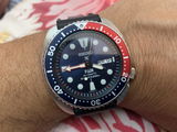 Giuseppe Bove review photo