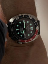 Giuseppe Bove review photo