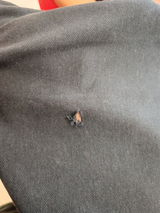 Maged Boltia review photo