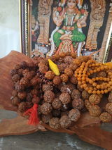 Kalptaru Anil s Thakkar review photo