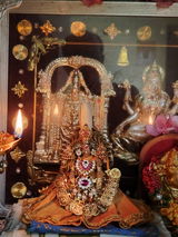 Shanmugam Narayan review photo