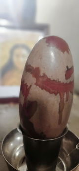 Adv Ashwin Arun review photo