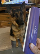 Rick Thorburn review photo