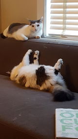 Anonymous review photo