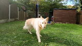 Janet review photo