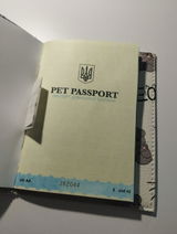 Yevhen Burdeinyi review photo