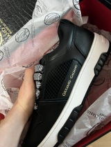 Ryan review photo