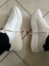 Paul review photo