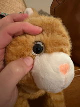 Aly review photo