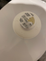 Adam review photo