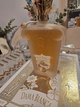 Leora S review photo