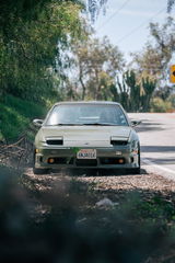 Matthew Bernasconi review photo