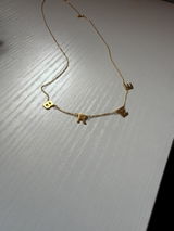 Gldnoshun.com review photo