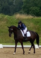 EMMA EQUESTRIAN review photo