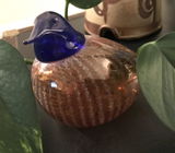 Leif review photo