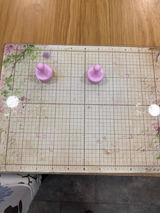 Veronica U review photo