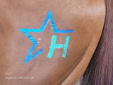 Stephanie Coons review photo