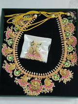 Gayathri Krishnan review photo