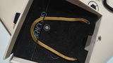 Sandhya review photo