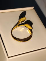 Vanita N. review photo