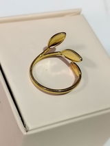 Vanita N. review photo