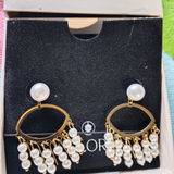 Ashvini review photo