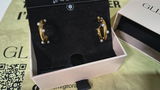 Amrapali review photo