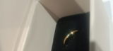 Sanchi review photo