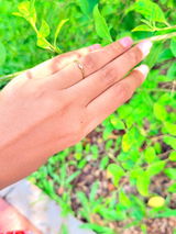 Taraa mehta review photo