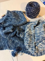 Dasia S. review photo