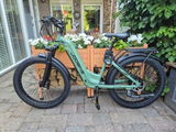 Paul Thompson review photo