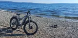 Bryce Simonis review photo